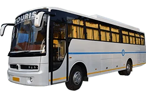 Luxury Bus (3X2 Pushback)